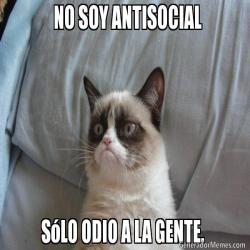 http://milrecursos.com/wp-content/uploads/2013/03/10-Memes-del-gato-enojado-enojado-memes-funny-memes.jpg