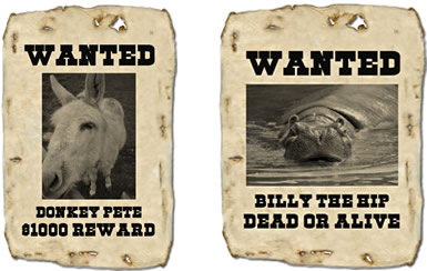 wanted-poster2