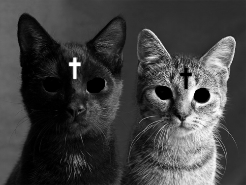 Imágenes graciosas de gatos endemoniados para Facebook - Mil Recursos